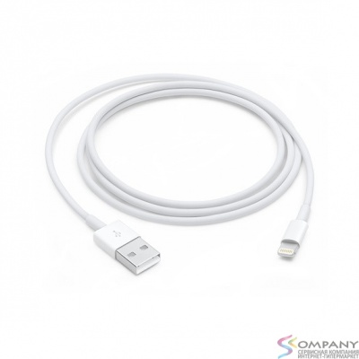 MXLY2ZM/A Apple Lightning to USB Cable (1 m)